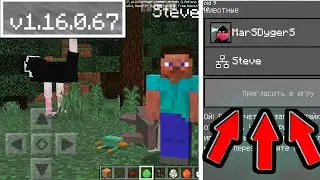 Про Майнкрафт Бедрок Бета 1.16.0.67 | Новый Xbox | Скачать Обновление