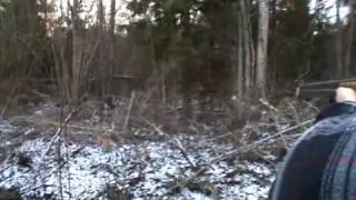 Hunting in Latvia!!!