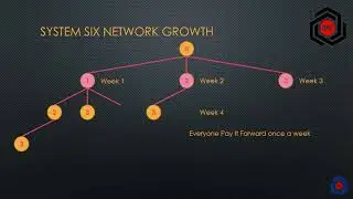 ONE 5P1N Membership System Details