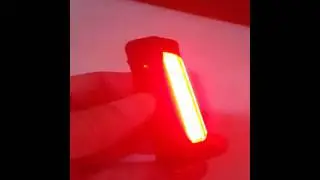 Raypal Rear Light