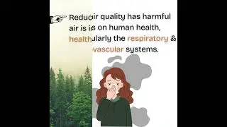 Why is it important to control Air Pollution