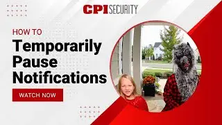 How to Temporarily Pause Notifications