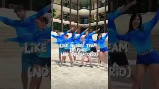 Team delfines 🐬 #suscribete #summercamp #ferjalil #delfines #azul 