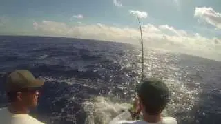 Sailfish Tournament Key Largo Florida