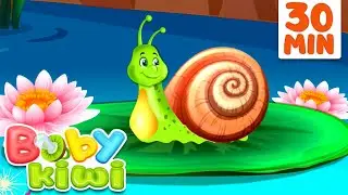 Snail Snail - Kids Songs & Children Songs | Baby Kiwi 🥝