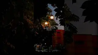 allah ko sakhi se piyar hai #new #motivation #molana_tariq_jamil #islamic #bayan #shortvideo