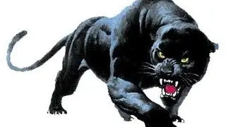 Plant 51, Bloomingdale 20 - CONGRATULATIONS TO HEAD COACH ROBERT WEINER ON WIN NUMBER 100