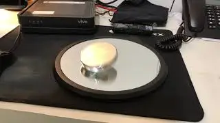 Disco de Euler (Euler's Disk) - Toysmith