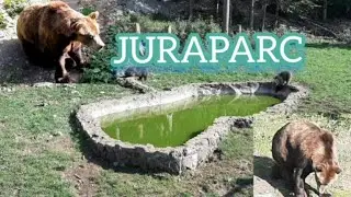 TOUR AT JURAPARC SWITZERLAND