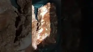 costillas con papas muy ricas 😋