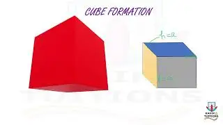 Solid Shape | 3-D figure | Cube | TSA | CSA | Volume of cube