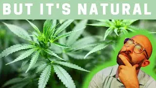 Is Cannabis a SIN?