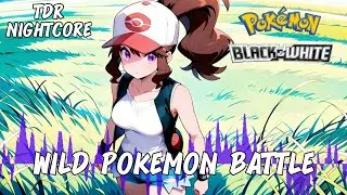VG Nightcore - Wild Pok&eacute;mon Battle Pok&eacute;mon Black/White