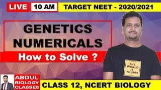 Principles of Inheritance and Variation Class 12 | Genetics Numerical | Live MCQs Discussion | NCERT