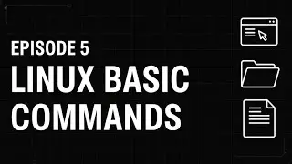 RHCSA Episode 5 &ndash; Linux Basic Commands Explained 