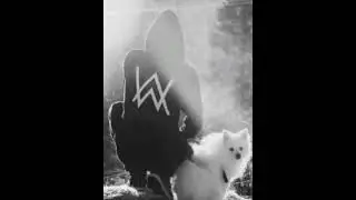 _...ALAN WALKER mix DJ TIMZZY...🔥🔥🔥