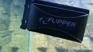 Flipper and Fluval Magnetic Aquarium Glass Cleaner