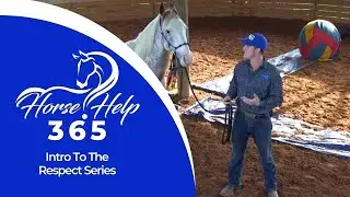 Intro To The Respect Series | Horse Help - Michael Gascon