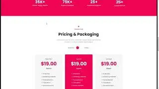 Raido - Agency and Portfolio PSD Template illustration portfolio dark theme