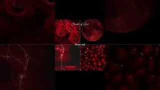 Different shades of red ❤️ #aesthetic #colors #shades #red #redaesthetic