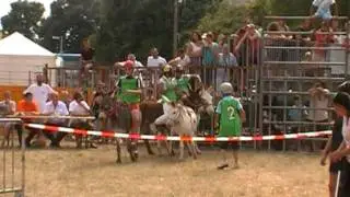 courses d'anes 16 07 2011