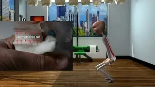 Standing Decompression Strategy for Lumbar Spine