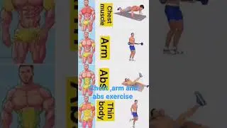 chest, arm, abs and thin body exercises