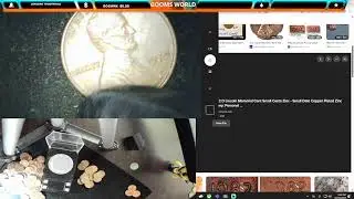 MONEY MONEY MONEY | organizing coins|   pocket change treasure  | Live | USA