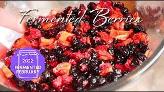 FERMENTED BERRIES from Freeze-Dried Fruit! &bull; Fermented February Collaboration