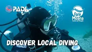 PADI Discover Local Diving (Plong&eacute;e d'exploration guid&eacute;e) - Hermance
