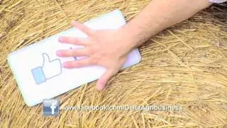 'Like'   Delta Ag