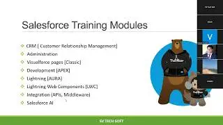 Salesforce Online Training from SV Tech Soft