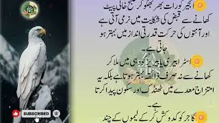 Motivational Islamic Quotes| Rumi Quotes | Quotes About Life | Golden Words | Hazrat Ali Quotes