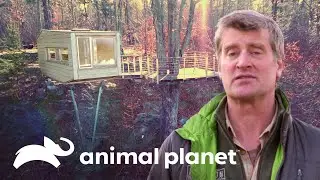 Pete fica surpreso com a estrutura de uma casa na &aacute;rvore | Casas na &Aacute;rvore | Animal Planet Brasil