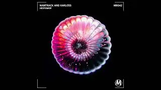 Namtrack & Karloss - Little Forest Pig (Original Mix)