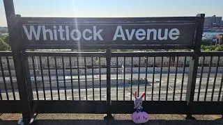 IRT Pelham, White Plains and Northeast Corridor Spotting (MTA New York City Subway and Amtrak)