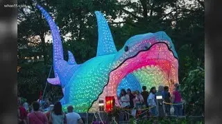 Wild lights lantern festival coming in March