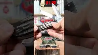 Case Buffalo Horn Folding Hunter With Sheath, Pocketknife Review. #knifecollection #caseknives #edc