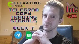 First Losing Week 📉 Elevating Forex - Telegram Copy Trading WEEK 7 #copytrading #forex #telegram