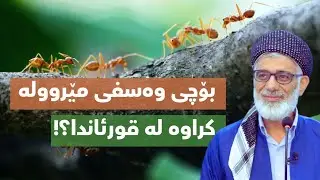 بۆچی وەسفی مێروولە کراوە لە قورئاندا ؟!