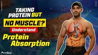 Why Your Body May Not Be Absorbing Protein Properly #fitness #protein