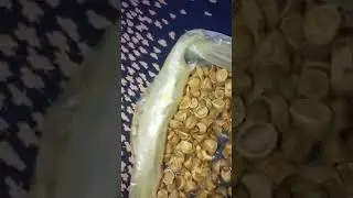 jicib ama yicib