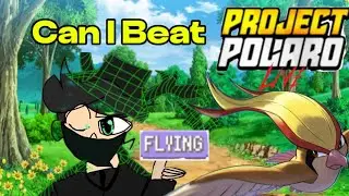 Can I Beat ROBLOX PROJECT POLARO with Only FLYING TYPE Pokemon?