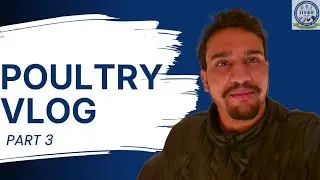Poultry Care Pt 3 | Feed, Vitamins & Feeder Cleaning
