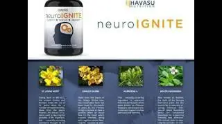 Havasu Nutrition Neuro Ignite