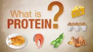 What is protein? | Herbalife Nutrition