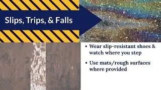 Array Car Rental Safety 1