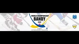 World Championship Bandy 2017 (Netherlands - Czech)