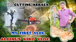 Tree cutting video// ped cutting blog //tree cutting machine//#woodworking #treework