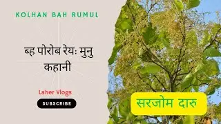 Kolhan Bah Rumul🤯 | Bah Porob reya Munu Kahani ko |Bah Parv Lok katha| Story|Chaibasa  #new #youtube